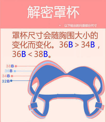 女性]想 摸胸一手准 ?罩杯计算公式曝光【4】-