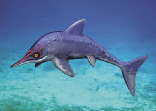 科学家发现白垩纪鱼龙化石 灭绝时间早于恐龙