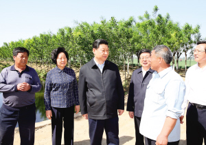 习近平在天津考察:稳中求进推动经济发展持续