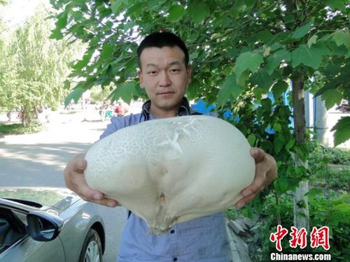 工兵团对国家的贡献大吗?训练强度大吗?抗枪