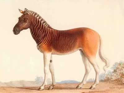 2. ¿1883