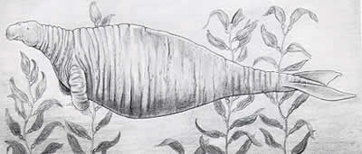 4. ˹ţ޷1768