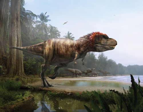 盘点最独特的恐龙:始祖鸟真正名流[组图]