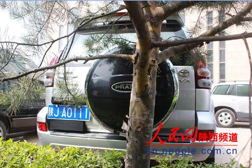 该车为丰田霸道VX型越野车，工作人员称，这是局长座驾。
