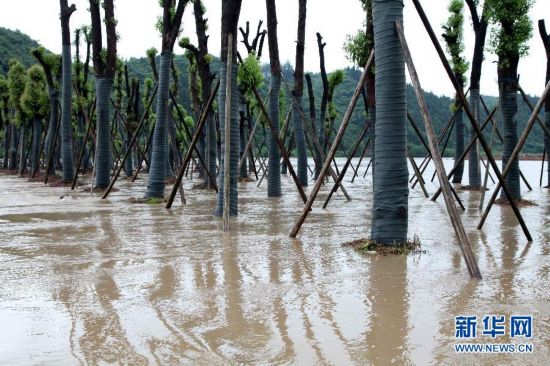 安徽黄山暴雨受灾严重 道路被淹民房倒塌（组图）