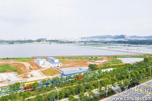 武汉一管委会顶风填湖30亩建总部办公楼
