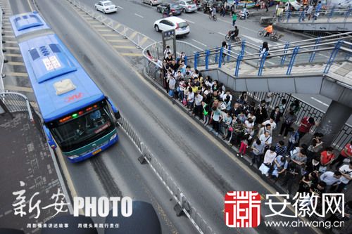 合肥BRT公交车安全锤配备齐全 多数乘客没想