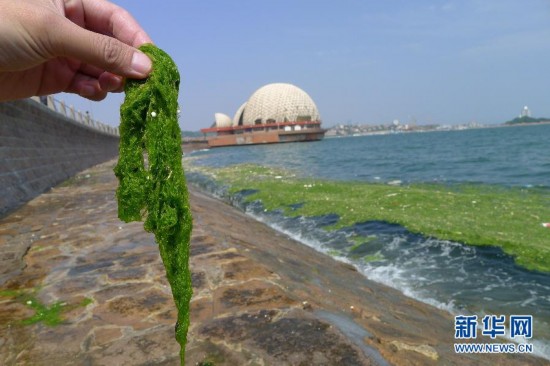 废弃边陲推荐平民组合