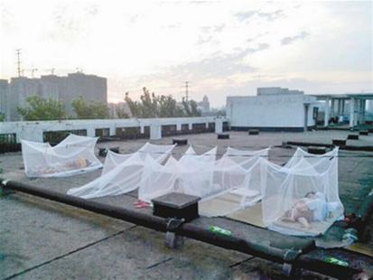 爱爱爱草语蓝介绍