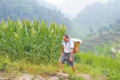 “挑夫”校长代天久背着孩子们的营养餐，走在崎岖的山路上。