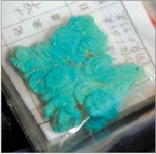 Ĺ�г���������ʯ���