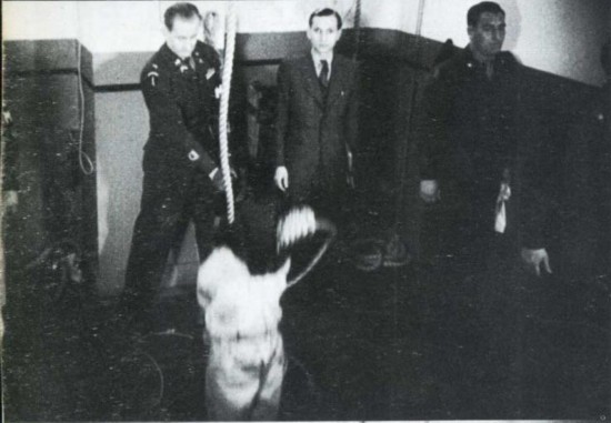 ʵսȫ