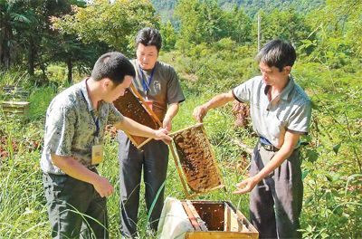 江西安远下派的脱产驻村工作队