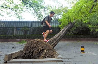 北京气象台长：发生7·21式暴雨几率很小