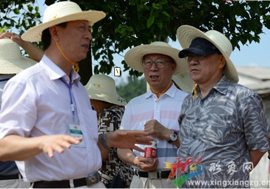 良种肉鹅繁殖技术交流研讨会在湖南湘潭成功召