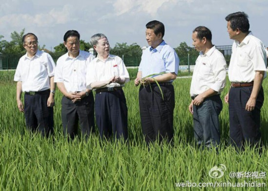 习近平:粮食安全要靠自己