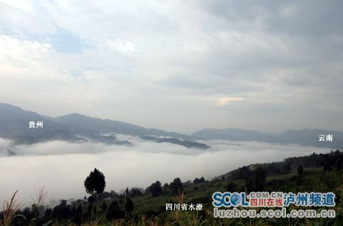 泸州现人口_泸州人口分布图(3)