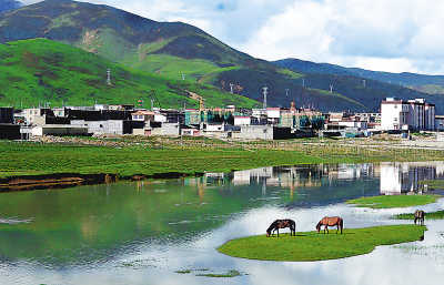 上山下海看草原:避暑旅游成为暑期大热门