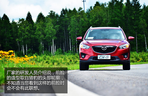 ȫ����� �Լ����鳤�����Դ�CX-5����