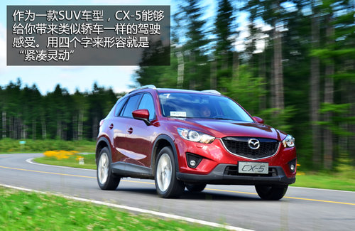 ȫ����� �Լ����鳤�����Դ�CX-5����