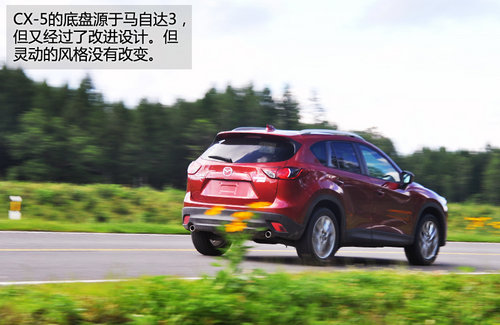 ȫ����� �Լ����鳤�����Դ�CX-5����
