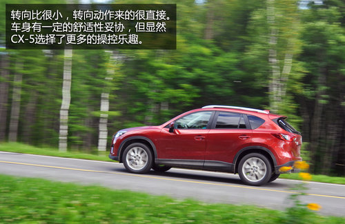 ȫ����� �Լ����鳤�����Դ�CX-5����
