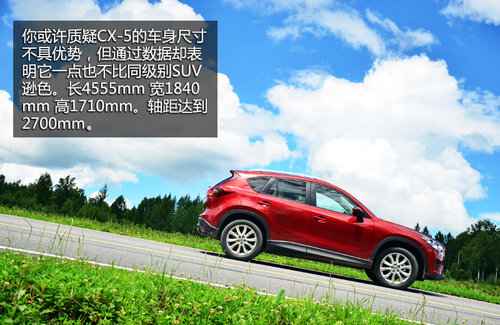 ȫ����� �Լ����鳤�����Դ�CX-5����