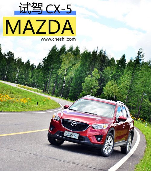 ȫ����� �Լ����鳤�����Դ�CX-5����