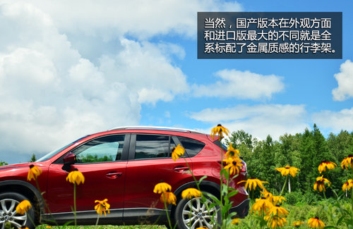 ȫ����� �Լ����鳤�����Դ�CX-5����