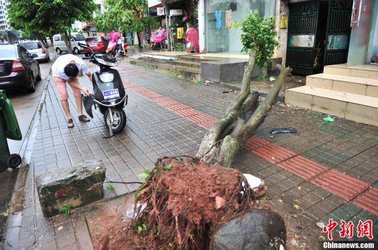 飞燕登陆海南 海口、三亚两机场200余航班取