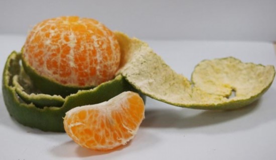 养生贴士:每天一桔子防三癌 /图   青皮:橘子未成熟果实之外皮或幼果