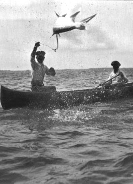 佛罗里达上世纪捕鱼旧照现惊人大鱼(组图)