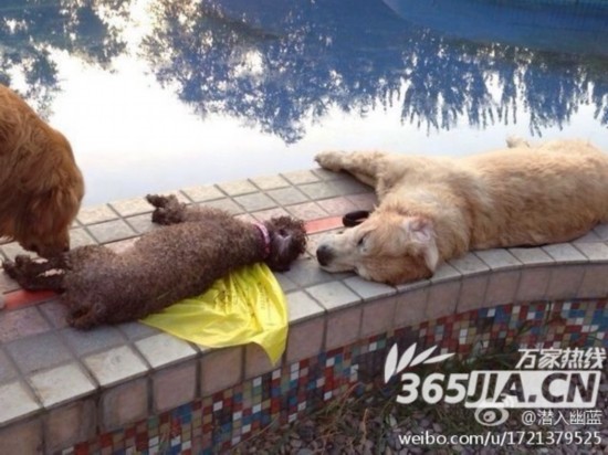 ����������԰��Ȫ©�� ����ְ��Ϊ�Ȱ�Ȯ��������