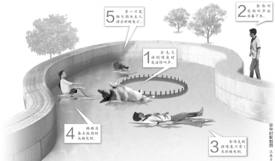 朝阳公园漫画下水电死宠物狗夫妻漏电救狗一创业融资泳池图片