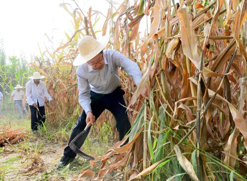 張春賢住鄉考察深入鄉鎮開展調查研究