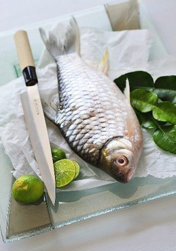 富含胶原蛋白的食物