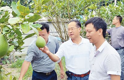 广东陆丰市委组织部推进一线工作法