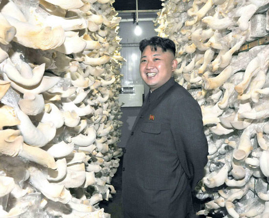ͼ쵼˽ӲĢ