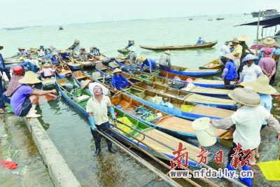 最强台风 尤特 袭粤 电白渔港进入紧急防风状态