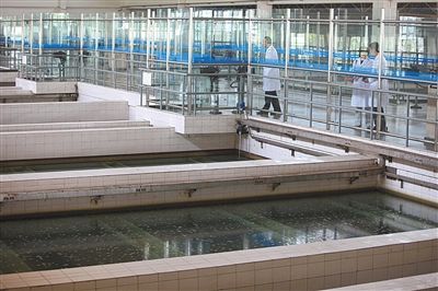 2012年5月17日，北京第九水厂，一位工作人员在介绍自来水的生产流程。新京报记者 薛珺 摄