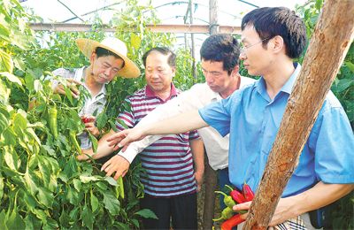 福建省福清市成立农业专家服务团