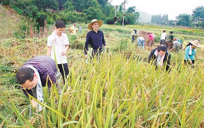 四川省委组织部组织部机关干部开展联村帮户