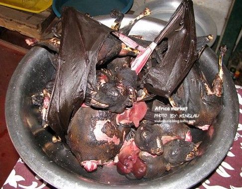 奇葩菜谱算什么 蜈蚣蟋蟀蝙蝠等重口味菜谱看