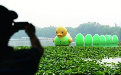 萌翻了!北京现穿绿马甲假大黄鸭+身后跟7枚绿鸭