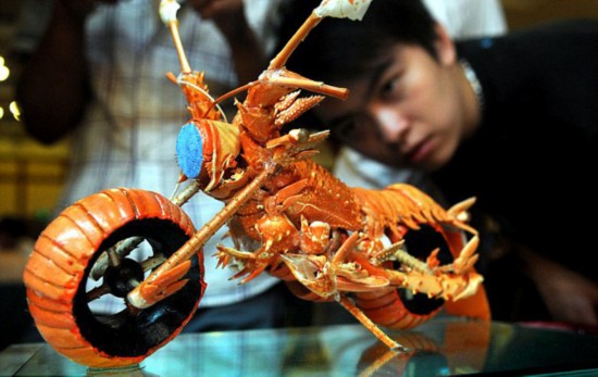 台湾大厨巧手改造 龙虾变身迷你摩托车模型