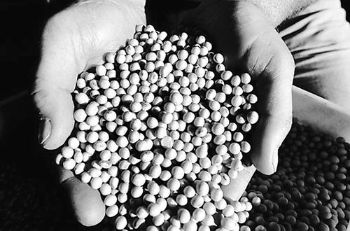 科学视角下 正确看待转基因技术