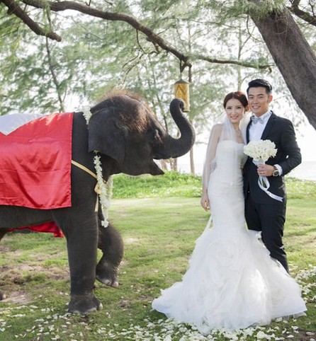 陈赫结婚照曝光 普吉岛大婚幸福落泪【5】