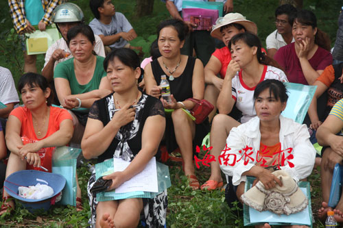 东红农场组织下岗女工学习农业技术--海南视窗--