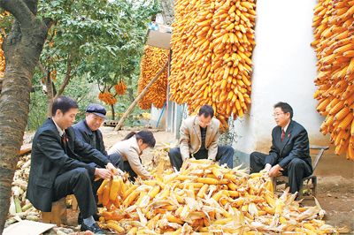 河南栾川县开展 党员干部下基层、转作风、帮