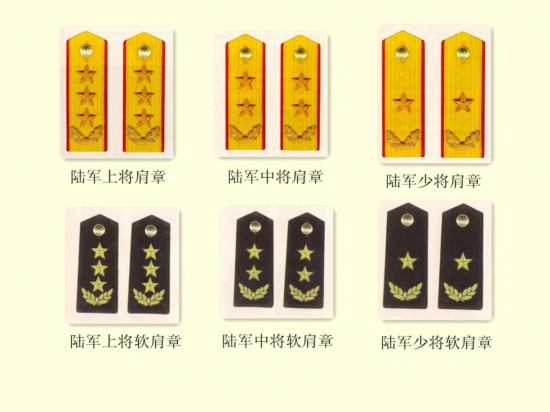西安城管新肩章绣有石榴花 市民:新肩章有西安特色